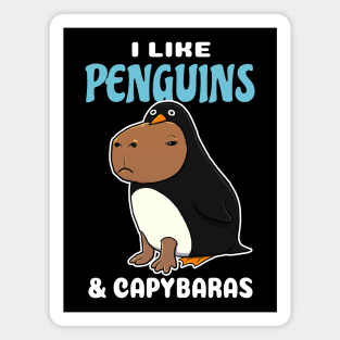 I Like Penguins and Capybaras Cartoon Magnet